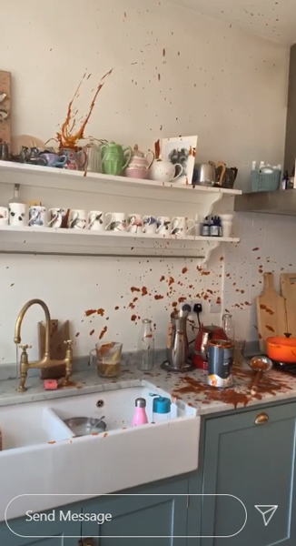 lisa-kitchen-disaster--z